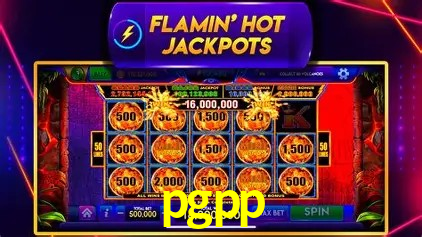 Flash Promotion pgpp